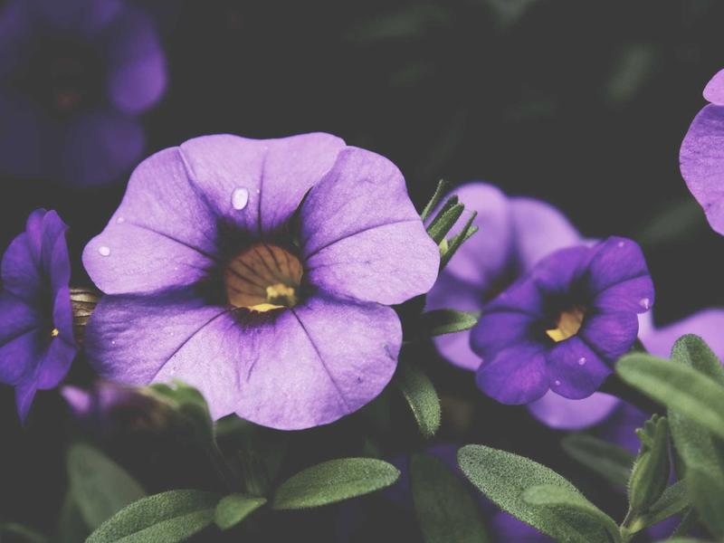 Lucky charm bracelets and jewellery